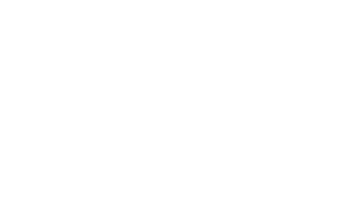 Leo🐾